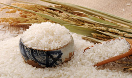 米面類檢測